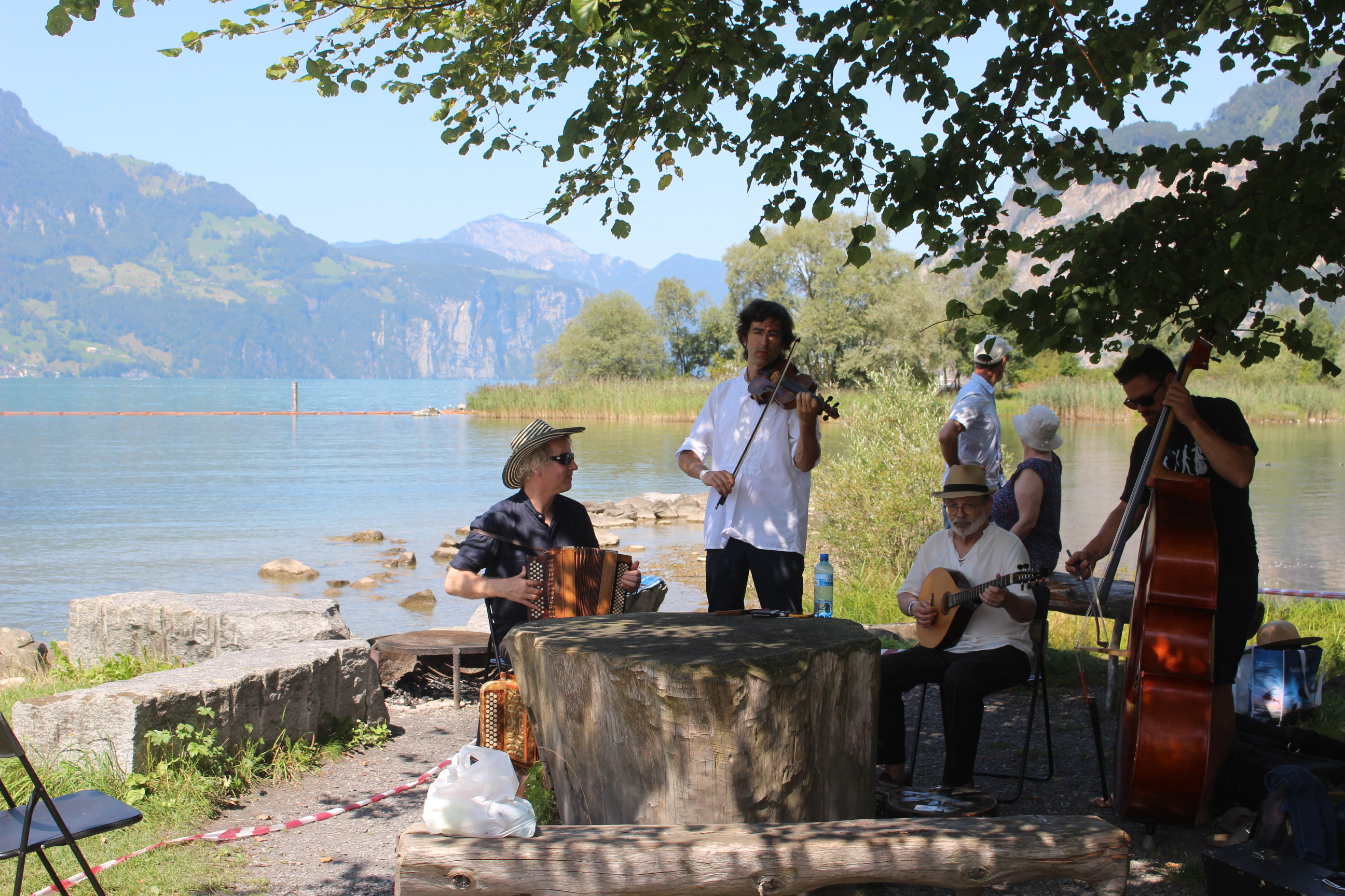Pflanzblätz und Freunde jammen im Schatten