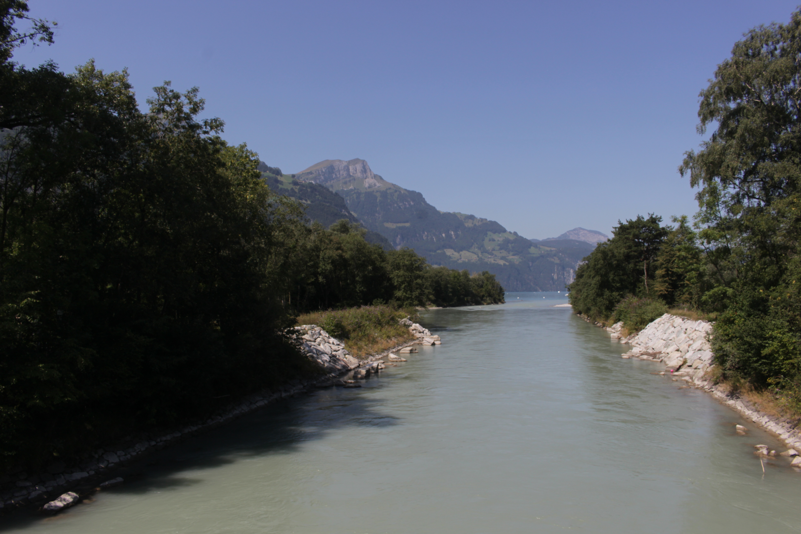 Die Reuss ströhmt in den See